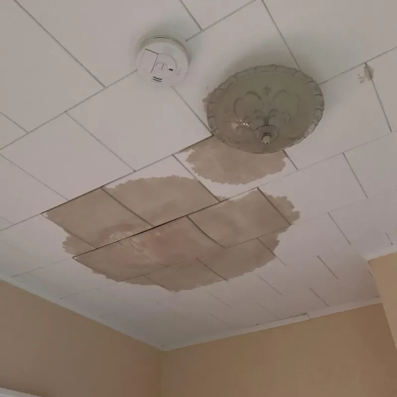Ceiling Water Damage Repair in Oconto, WI