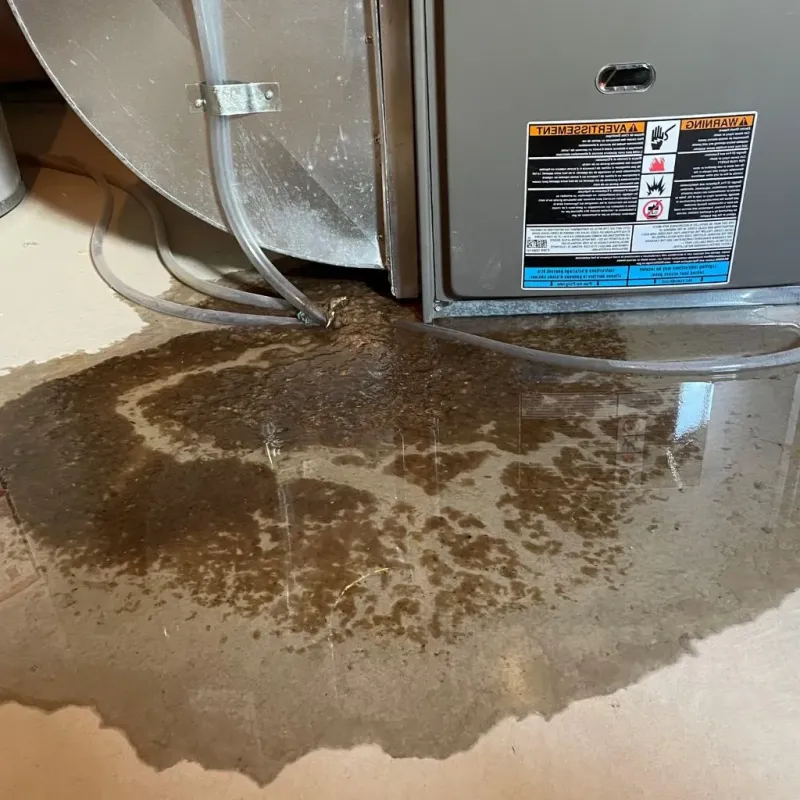 Pipe Burst and Leak Restoration in Oconto, WI