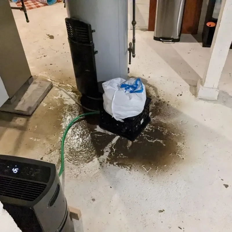 Sewage Backup Cleanup Service in Oconto, WI